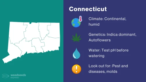 Cannabis Growing Climate in Connecticut